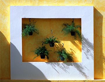 g-Plantings-Picture-277