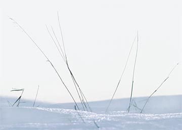 k-Snow-Blades-38