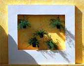 g-Plantings-Picture-277