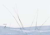 k-Snow-Blades-38