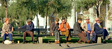 u-Bench-Birds-105