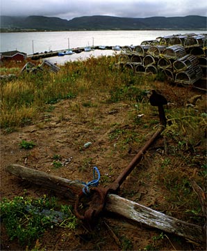 d-Anchors-Rest-89