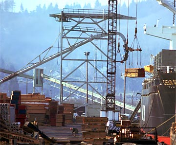f-Timber-Port-175