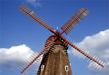 n-Dutch-Grandeur-237