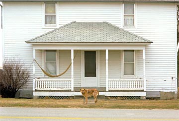 o-A-Rural-Hello-203