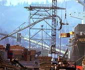 f-Timber-Port-175