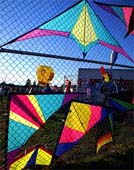 k-Flyn'-Colors-23