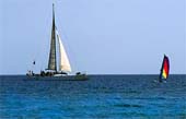 l-Fun-Caribbean-Style-288