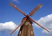 n-Dutch-Grandeur-237