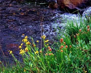 zb-Waters-Edge-10