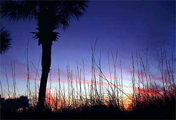 ze-Sunset-Accent---344