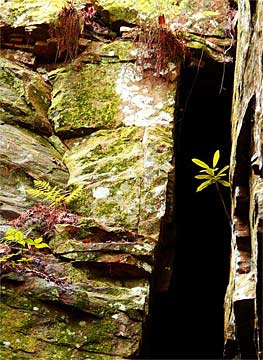 zk-Crevasse-Amaze-0226