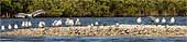 s-Oyster-Bar-Peers_0775