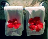 zb-Hibiscus-Delight-299