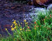 zb-Waters-Edge-10