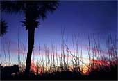 ze-Sunset-Accent---344
