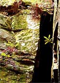 zk-Crevasse-Amaze-0226