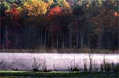 zn-Pondside's-Dawn-345