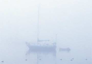 Sleepy-Fog---350