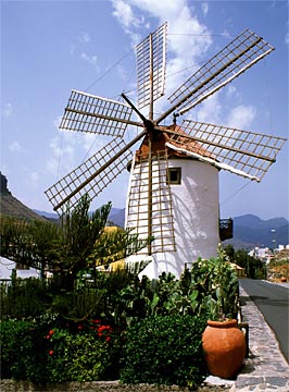 d-Roadside-Mill,--Grand-Can