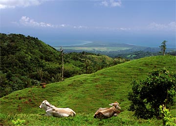 e-Green-Pasture-Vista-289
