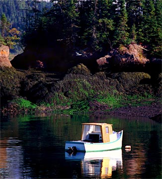 q-High-Tides-Harbor-97