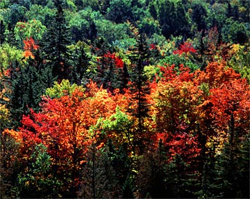 zb-Falls-Fire-163