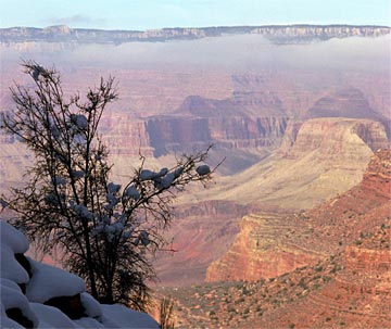 zu-Winter-Vista-197