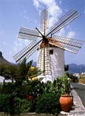 d-Roadside-Mill,--Grand-Can