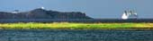 n-Grand-Mannan-Ferry-27