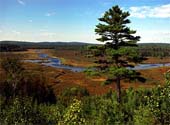 zf-Moose-River-Valley-66