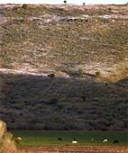 zi-Valley-Shadows-216