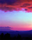 zo-Desert-Twilight-196