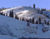 zy-Reindeer-Hills-43