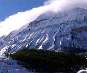 zz--Magnificant-Summit-98