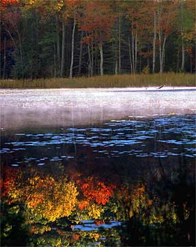 b-Autumn-Reflections---341