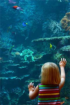 j-Aquatic-Wonders-0270