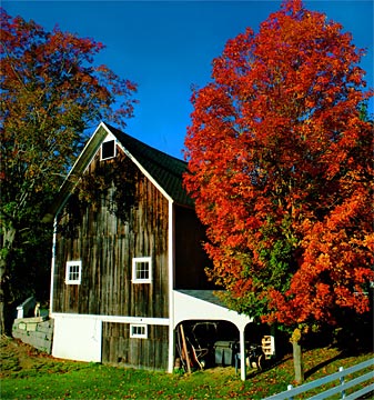 j-Country-Fall-96