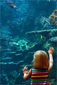j-Aquatic-Wonders-0270