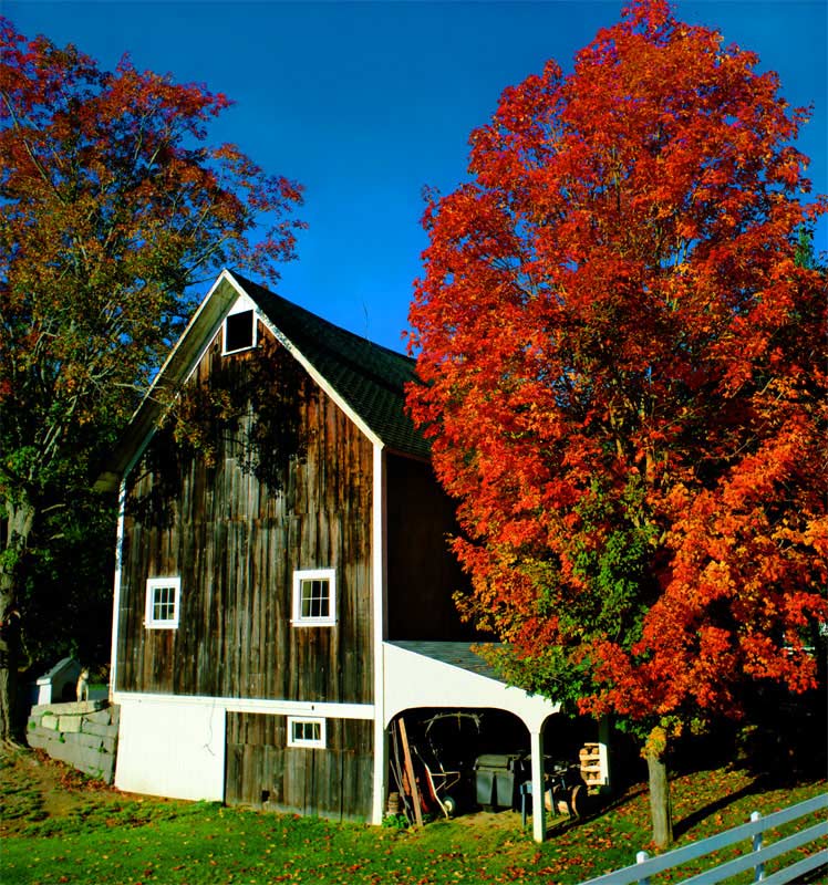 j-Country-Fall-96