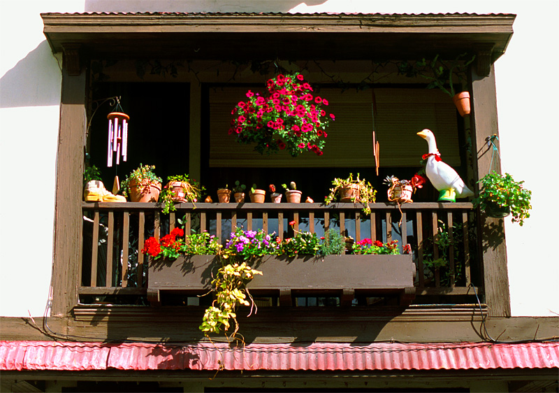 Back-Porch---348