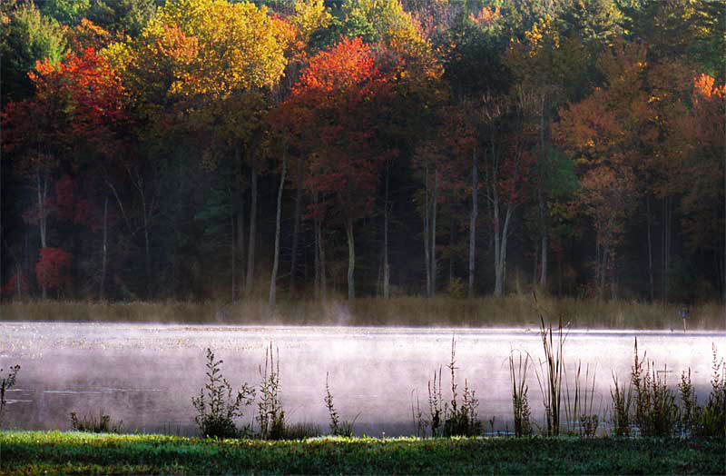 zn-Pondside's-Dawn-345