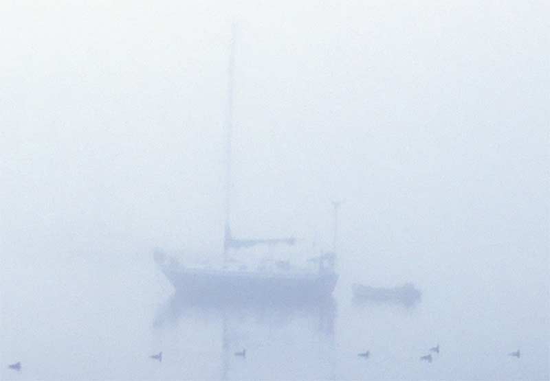 Sleepy-Fog---350