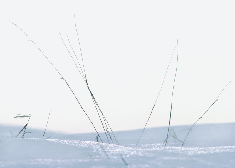 k-Snow-Blades-38